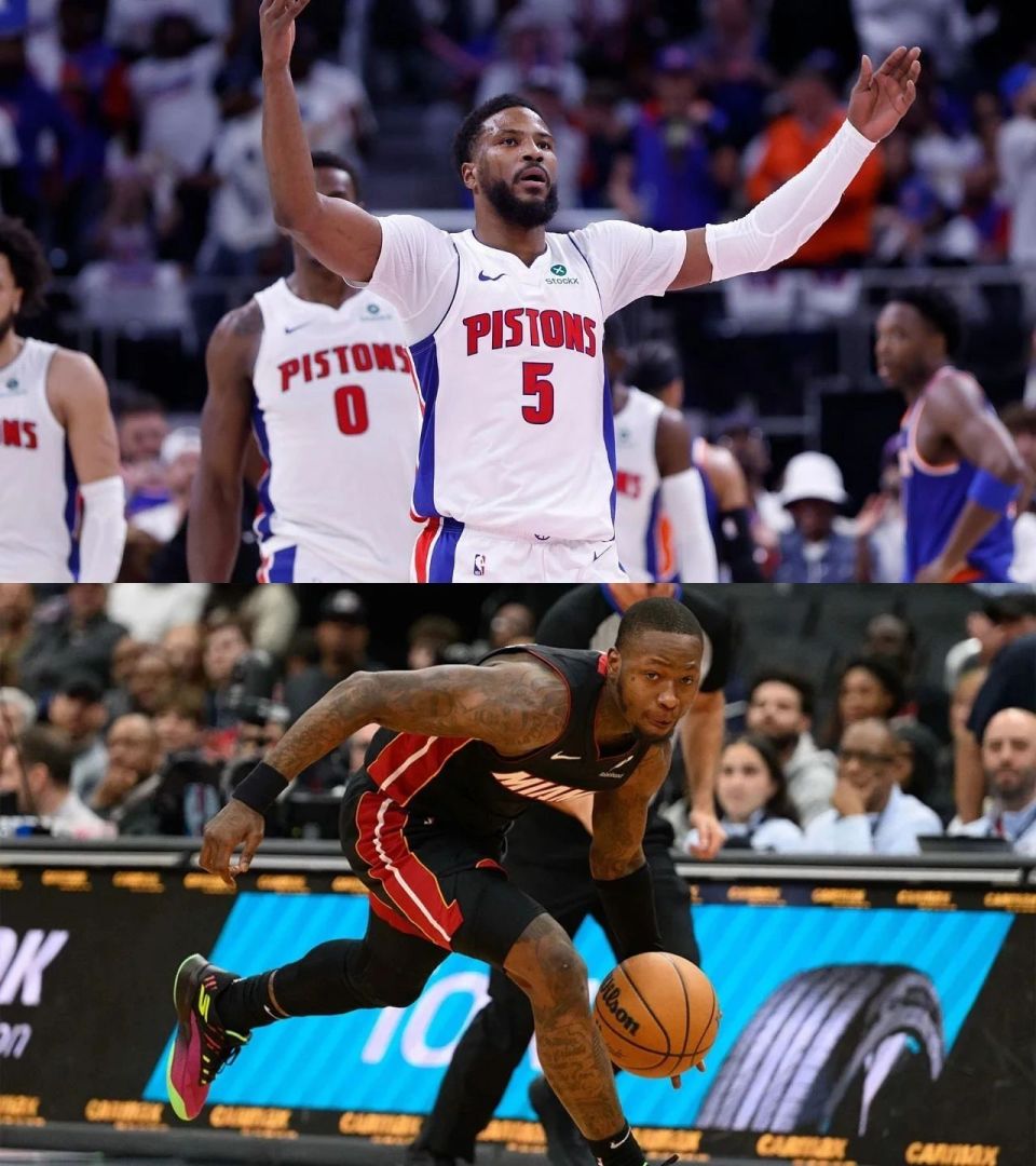 Rynog, 未来还会变